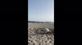 'Freerunning enthusiast turned 'UPSIDE DOWN like a SALAMI' after slipping on exercise ball '