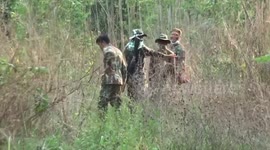 Wildlife officers issue 'arrest warrant' for hostile wild elephant that killed villager and destroyed crops