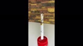 YouTuber demonstrates harmful effects on lungs of smoking