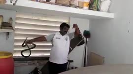 4-foot-long rat snake rescued from garage in southern India