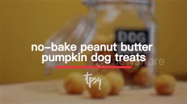 Homemade pumpkin and peanut butter treats will delight your dog