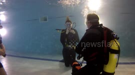 Divers training in a pool doing their `Ocean Diver ` doing exercises, like Mask clearing