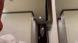 Cruise passenger handed four-figure payout after worker quizzed him about sexuality