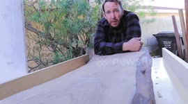 Craftsman and son transform wooden slab into glossy benches ready for client's living room