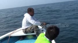 Fishermen Catch huge Rajiformes