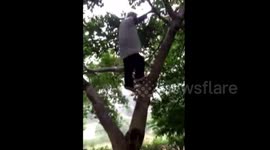  97 yo woman can climb on tree like youth 