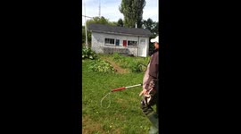 Raccon stuck in tire rescue