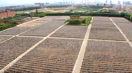 Fifty thousand pots of soya sauce line up to impress visitors