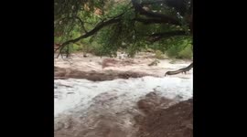 Flash flood in Virgin River at Zion National Park, Utah