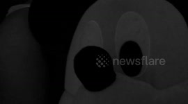 Funny clip of snow in Oklahoma, crazy person out driving in it. 