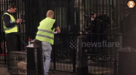 RAW Pranksters deliver pig to Downing Street