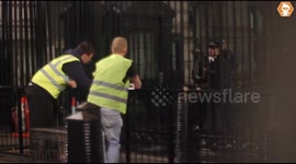 Pranksters deliver pig to Downing Street