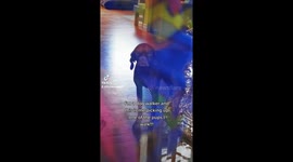 Dog's hilariously unimpressed face after spotting his walker goes viral on TikTok