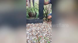 Bird rescued after getting stuck in hollow metal pillar for hours