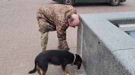 Soldier in Kyiv shares lunch with stray dog at Independence Square