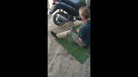 Crow plays with a man who repairs a motorbike