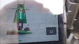 Seal basks in Spring sunshine on navigation buoy off Kent, UK