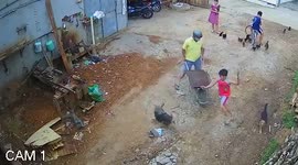 Pack of stray dogs gang up on worker in China