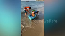 Pet Siberian Husky and pal Golden Retriever enjoy kayaking on beach in Thailand