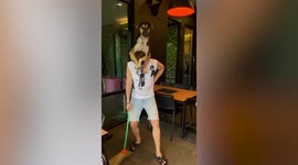 Affectionate pet dog rests on top of owner's head while he sweeps floor