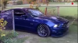 'Birthday boy has adorable reaction to seeing his car in a good condition after it was considered totaled '