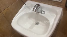 So You Wanna Be a Star!!!  Singing in a restaurant restroom might get you noticed!!