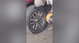 Stray cat rescued after getting stuck inside car wheel