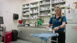 Dealing with a 6-Foot-Long Snake Is Tough! Come on the Journey For Her Annual Checkup