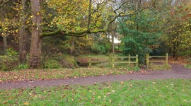 Drone footage over a fence into a wooded area with a stream running through it