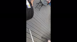 'Man tricks workmate into checking a tire for a leak when there COULDN'T HAVE BEEN ONE '