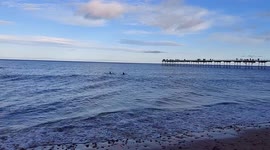 Two people having a winter swim at Saltburn beach in North Yorkshire UK