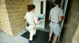 Taking Care of Injured Sea Turtles Is One of the Most Important Things These Vets Do