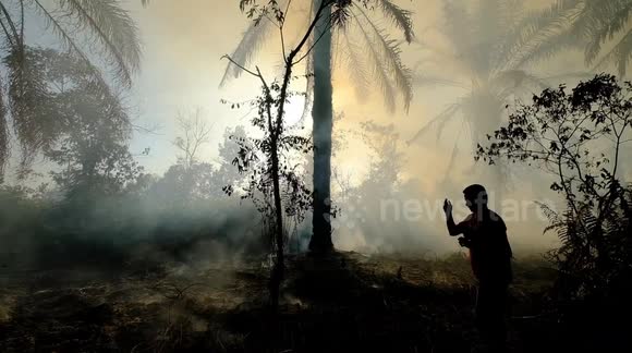 Eerie scenes of forest fire raging in jungles of Indonesia