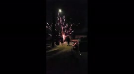 Two lucky people walk away unharmed after massive firework explodes 20 feet in front of them