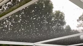 Heavy hail storm hits south Florida