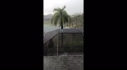 temp
