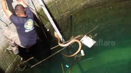 Indian rescuer has close encounter with deadly cobra inside 100-feet deep well
