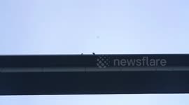 Lunatic jumps off a bridge but survives by throwing parachute in the last moment