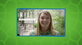 Meet This Very Weird Australian Bird With a Very Big Personality