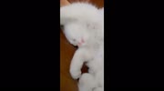 temp