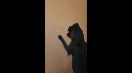 Such a silly girl. She thinks the reflection off my phone is a Lazer.