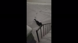 Hi guys. I'm Bella, and I love the snow soooooooooooooo much