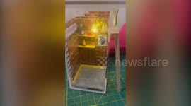 *EXTRA FOOTAGE* US student creates mini apartments for her pet praying mantises with TINY FAKE BONGS and SMALL PAINTINGS