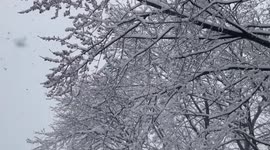 Spring in Wisconsin the trees are beautiful in Ashland WI