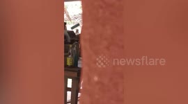 Wild baby monkey 'separated from troop' takes shelter in man's home in Thailand