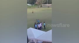 Hotheaded football coach punches referee during match in Thailand