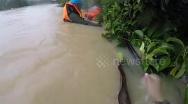 Pensioner found clinging to a palm tree for her life after being swept away by flash floods