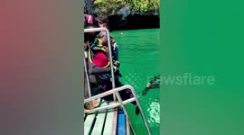 Woman takes group of disabled people snorkeling to boost inclusivity in tourism sector