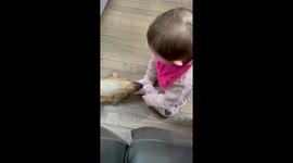 Baby Athena goes to Greece for the first time and comes back with Buddy the street dog !