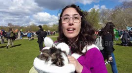 Animal Rebellion against British government legalising dogs experiments in the UK.